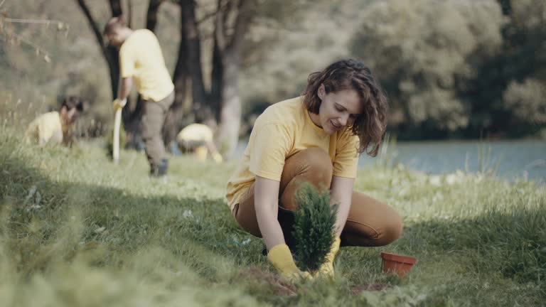 Best Lawn Renovation and Restoration  in Webster City, IA